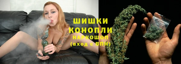 эйфоретик Иннополис