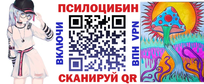 Купить закладки  Грайворон  Галлюциногенные грибы Psilocybe 
